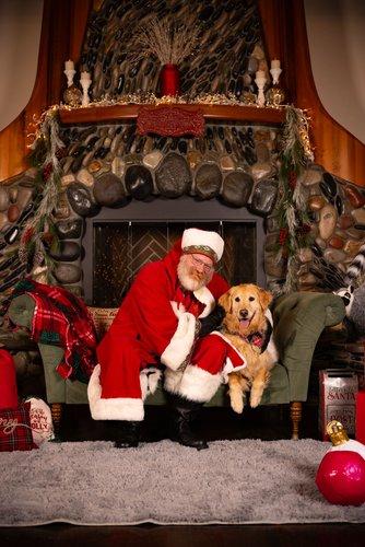 mobile - carousel-hero-element image-4